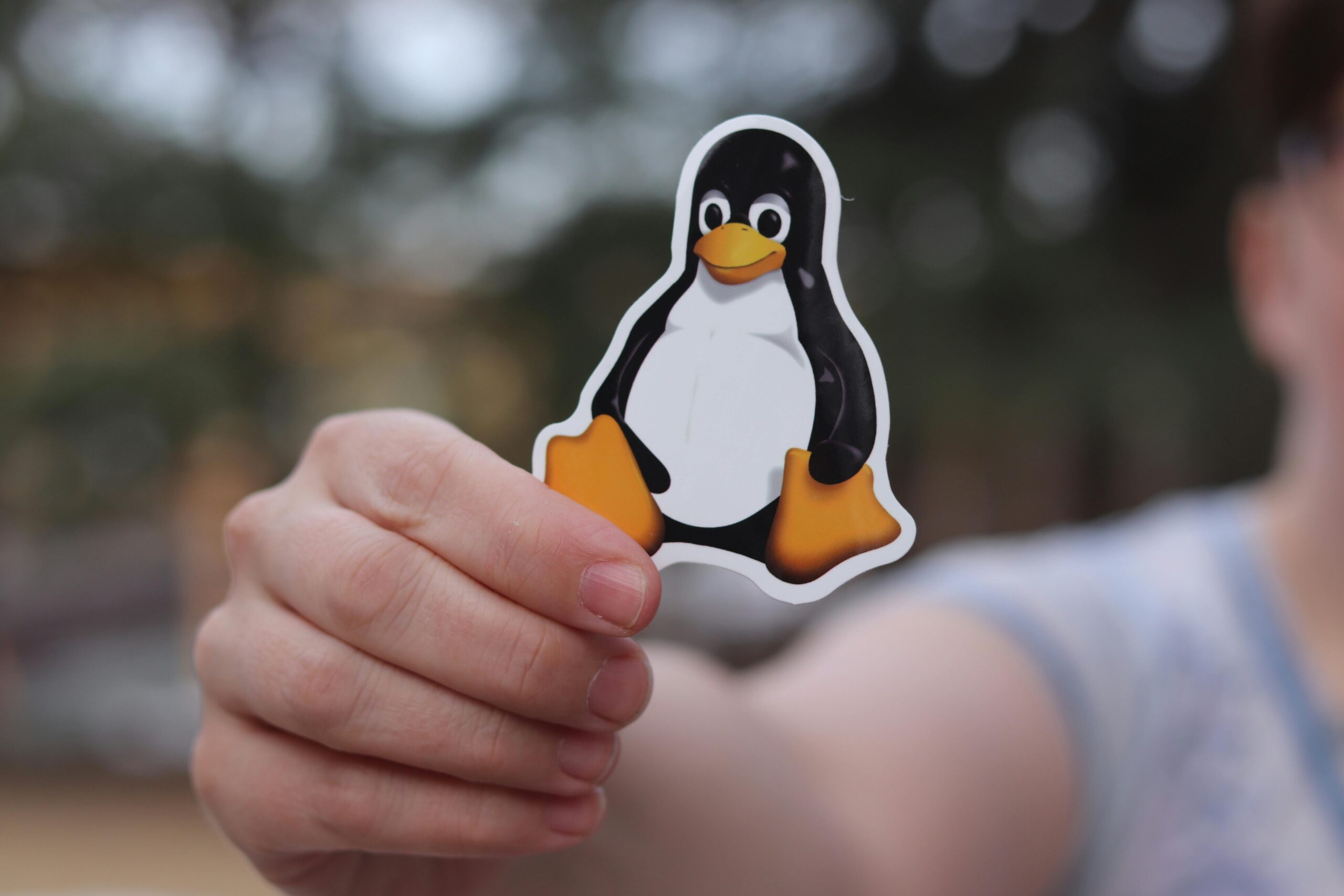 Why Is the Linux Mascot a Penguin?